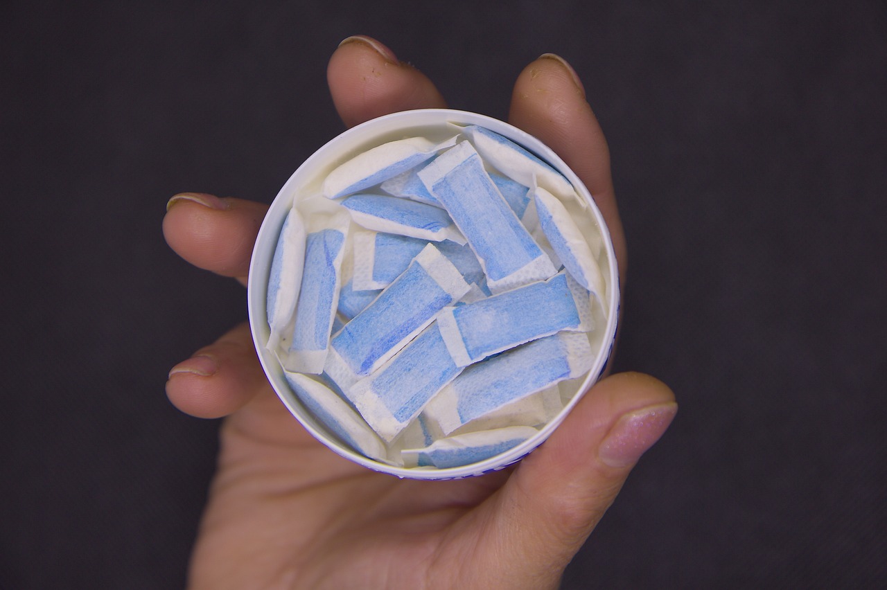 snus pouches